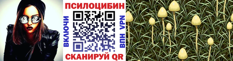 Псилоцибиновые грибы MAGIC MUSHROOMS  Купить где  Алатырь 